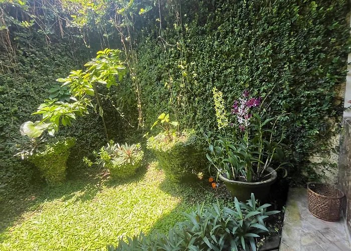 Ayung 4*